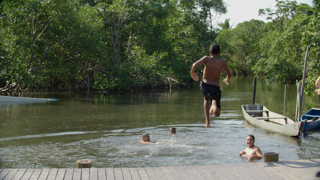 Bloom Ocean lança dia 12, em Vitória, documentário sobre relevância ambiental dos manguezais capixabas