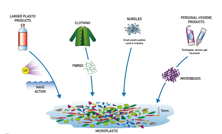 Os microplásticos estão dentro de nós e no material escolar