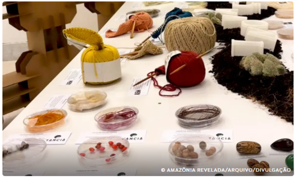 Bioeconomia, objetivos e oportunidades agora que a COP30 chegou