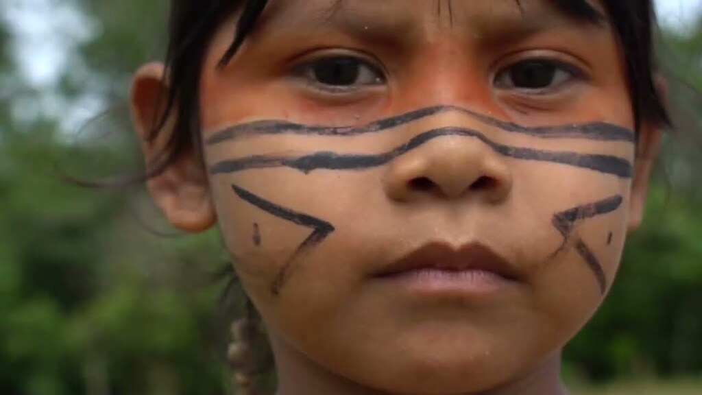 Envolverde: Jornalismo Ambiental na Vanguarda do Digital