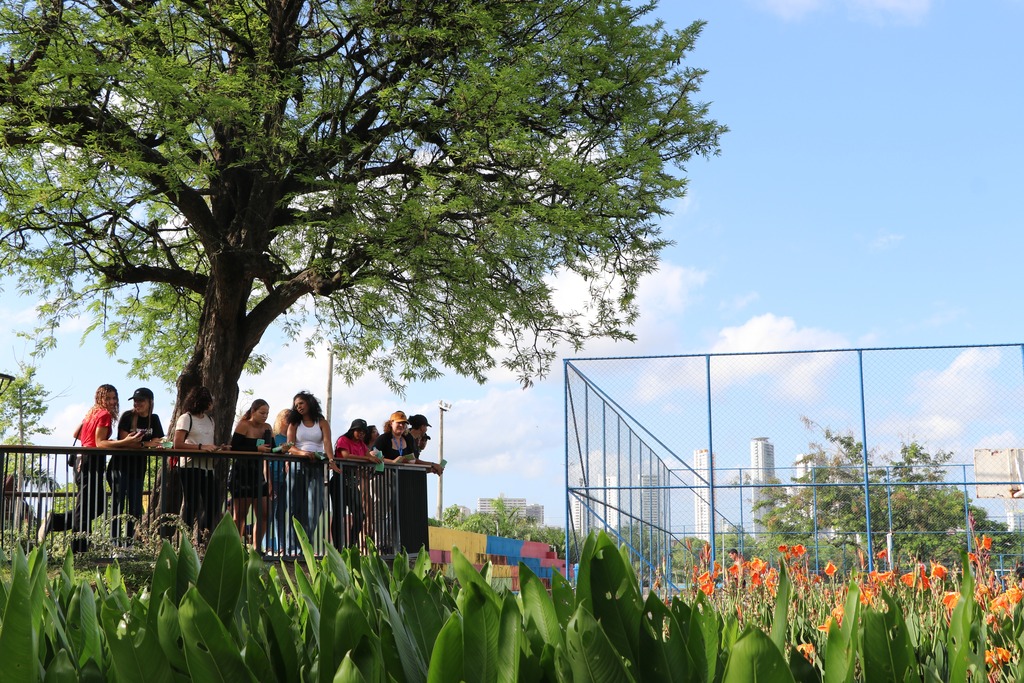 Soluções baseadas na natureza podem mudar o futuro das periferias brasileiras