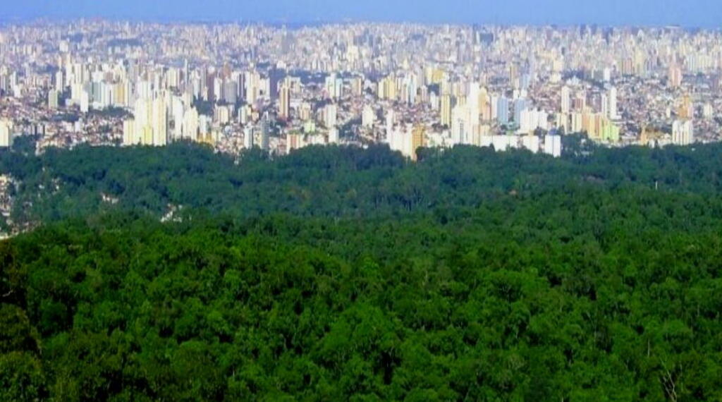 A conservação da Mata Atlântica e a urbanização