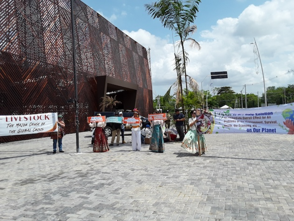 IPS - Ativistas entram em confronto com a segurança contra a COP30