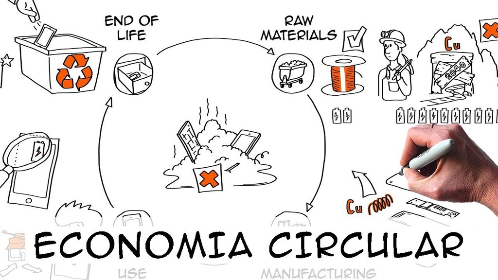 Economia Circular: A Grande Transição: Do Descarte à Regeneração