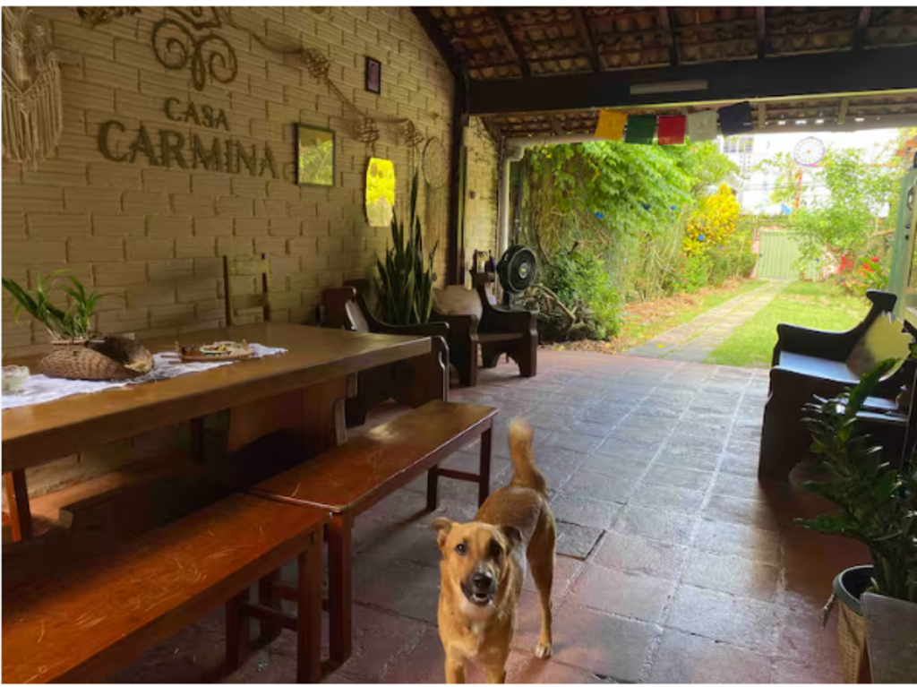 visão do espaço interno da Casa Carmina, com mesa, banco e um cachorro caramelo.