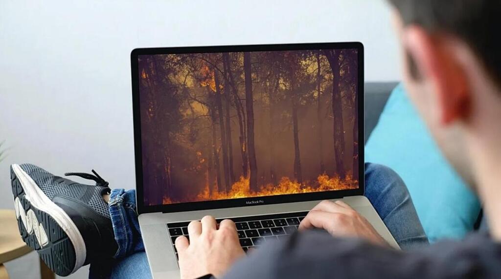 Pessoa olhando para o notebook