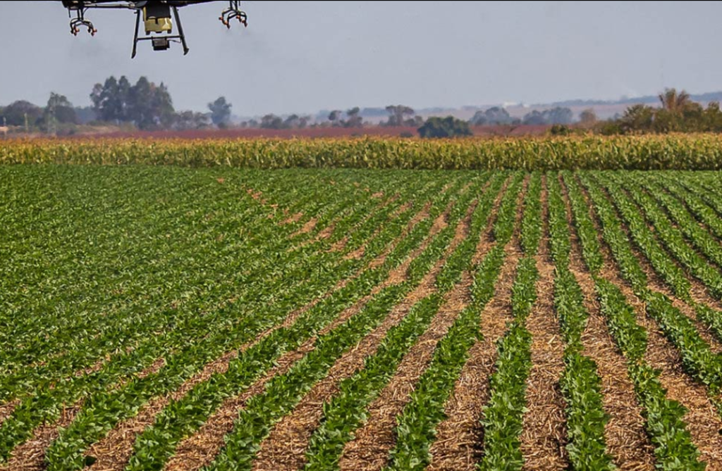 O Joio e O Trigo - Documento do agronegócio para a COP 30 ignora saúde humana e desmatamento