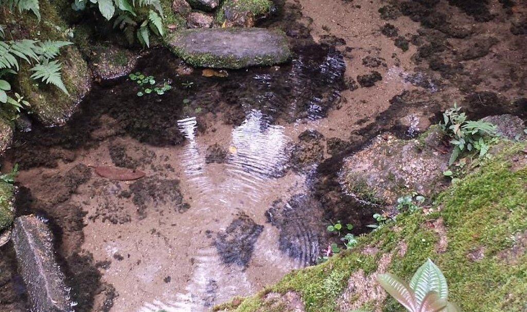 O erro de achar que a água cai do céu!