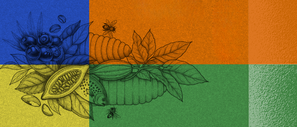 Bioeconomia: O Paradigma do Brasil no Século XXI