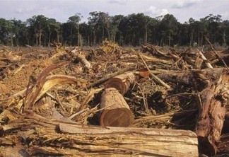 TV Cultura produz série inédita sobre desmatamento na Amazônia