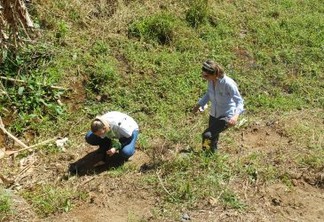 Prefeitura de São José dos Campos planeja plantar mais 3 mil árvores