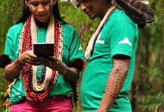 Rikbaktsa de Mato Grosso utilizam tecnologia para mapear castanhais