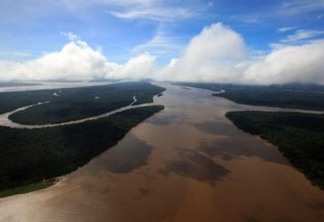 Governo Bolsonaro: o que defende coordenador ambiental do time de transição