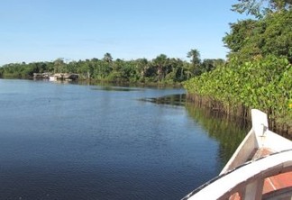 A biodiversidade está ameaçada na região do rio Canaticu, município de Curralinho, no Marajó. 