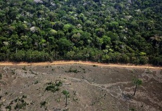 Crise hídrica é apenas uma das muitas razões para termos uma lei florestal capaz de proteger mananciais, nascentes e rios. Foto: Greenpeace