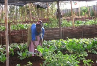A escassez de terra na Etiópia é um tema crítico para os pequenos agricultores que são 80% da população. Foto: Isaías Esipisu/IPS