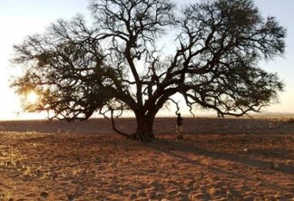 Namibia. Foto: Helio Rocha.jpg