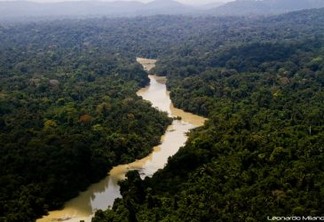 O Parque Nacional do Jamaxim, no Pará, é uma das UCs apoiadas pelo Arpa. Foto: 
© ICMBio