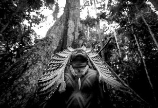 IPAM anuncia vencedores do concurso de fotografia Amazoniar