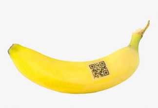 Aposta nas TIC para salvar a banana em Ruanda