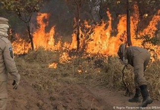 Amazônia e Pantanal têm recorde de queimadas em outubro