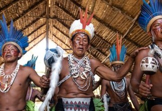 Pouca terra para muito índio: estudo detecta alta densidade populacional em metade das TIs do Brasil