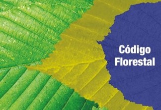 Código Florestal completa 10 anos entre desafios e oportunidades