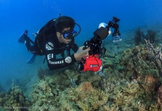 Biodiversidade do Recife de Fora será registrada no Concurso Coral Vivo de Foto Sub