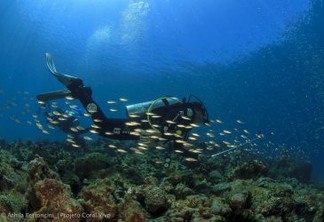 Aquário Recifal do Coral Vivo tem proposta educacional no Sul da Bahia