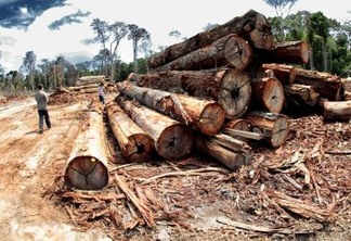 Mais de um terço da floresta amazônica sofre com degradação causada por humanos, aponta estudo