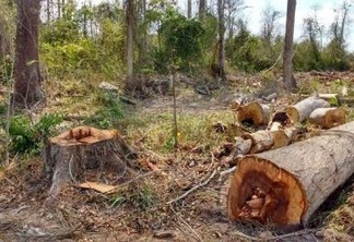 Garimpeiros assassinam fiscal no Parque Estadual Intervales