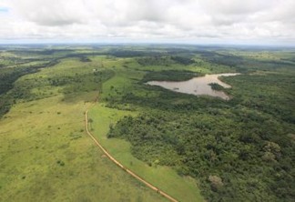 Florestas públicas não destinadas ameaçam conservação da Amazônia