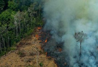 As questões ambientais devem voltar à tona no período de queimadas que vai se iniciar no próximo outono, com a redução do volume de chuvas – Foto: Victor-Moriyama-Greenpeace