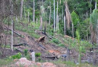Desmatamentos, invasões de terras e outros problemas atingem indígenas na região da BR-319