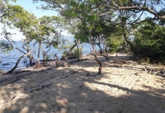 Vozes dos Biomas: o papel estratégico dos manguezais das restingas no ecossistema costeiro, por Débora Ortiz Lugli-Bernardes