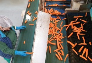 Hortícola Esma, empresa familiar espanhola e líder no setor da cenoura, coloca sua a confiança na Tomra