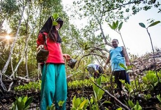 IUCN aponta conservação da Natureza como parte do combate à pandemia global