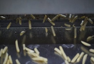 Como os processadores de batata podem melhorar a rentabilidade e a sustentabilidade usando as últimas soluções de peeling a vapor