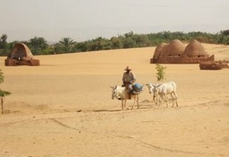 O lençol freático está descendo nos oásis do deserto do Egito, o que gera problemas de sustentabilidade. Foto: Cam McGrath/IPS