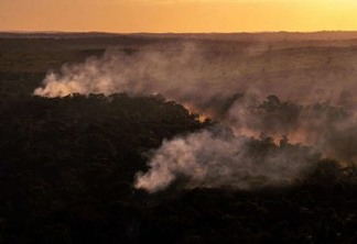 Queimadas próximo a uma área recém desmatada em Alta Floresta, Mato Grosso Foto: Christian Braga/Greenpeace.