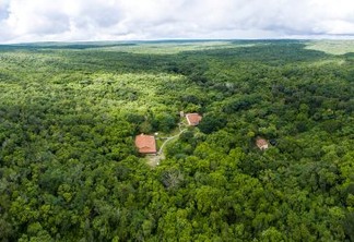 M. Dias Branco amplia apoio na conservação e proteção de área da Caatinga
