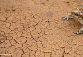 Secas na América do Sul podem aumentar até 2100, alertam cientistas