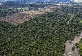 Desafetações e crimes regularizados: distopias na Amazônia aqui e agora