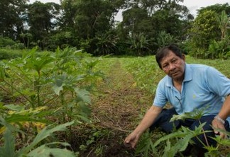 Terra Preta de Índio: o legado de agricultura sustentável da Amazônia