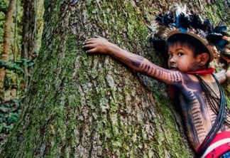 Desmatamento em terras indígenas aumenta 59% nos primeiros meses de 2020