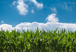 Danone expande projeto pioneiro de agricultura regenerativa para combater mudanças climáticas