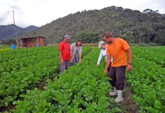 FAO lança livro sobre agricultura sustentável no Brasil