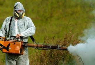 Governo brasileiro é o grande patrocinador do uso indiscriminado de pesticidas
