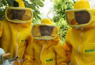Produção de mel vai ajudar na renda de famílias pantaneiras