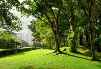 Áreas verdes urbanas: para que e para quem?